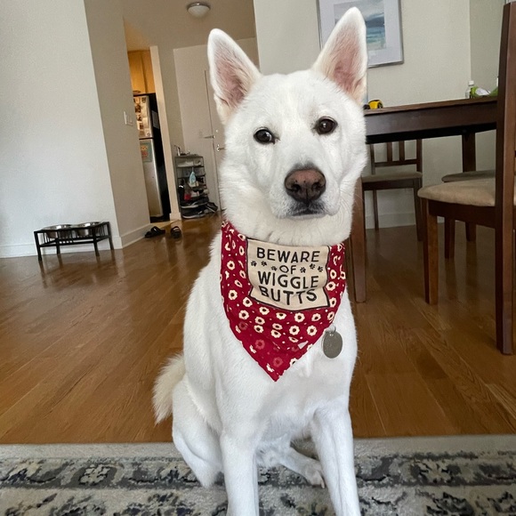 Meet your seller😊🌻🌸🌾💕 - Picture 2 of 5